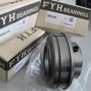 FYH UKFC206LⅢ+H2306轴承